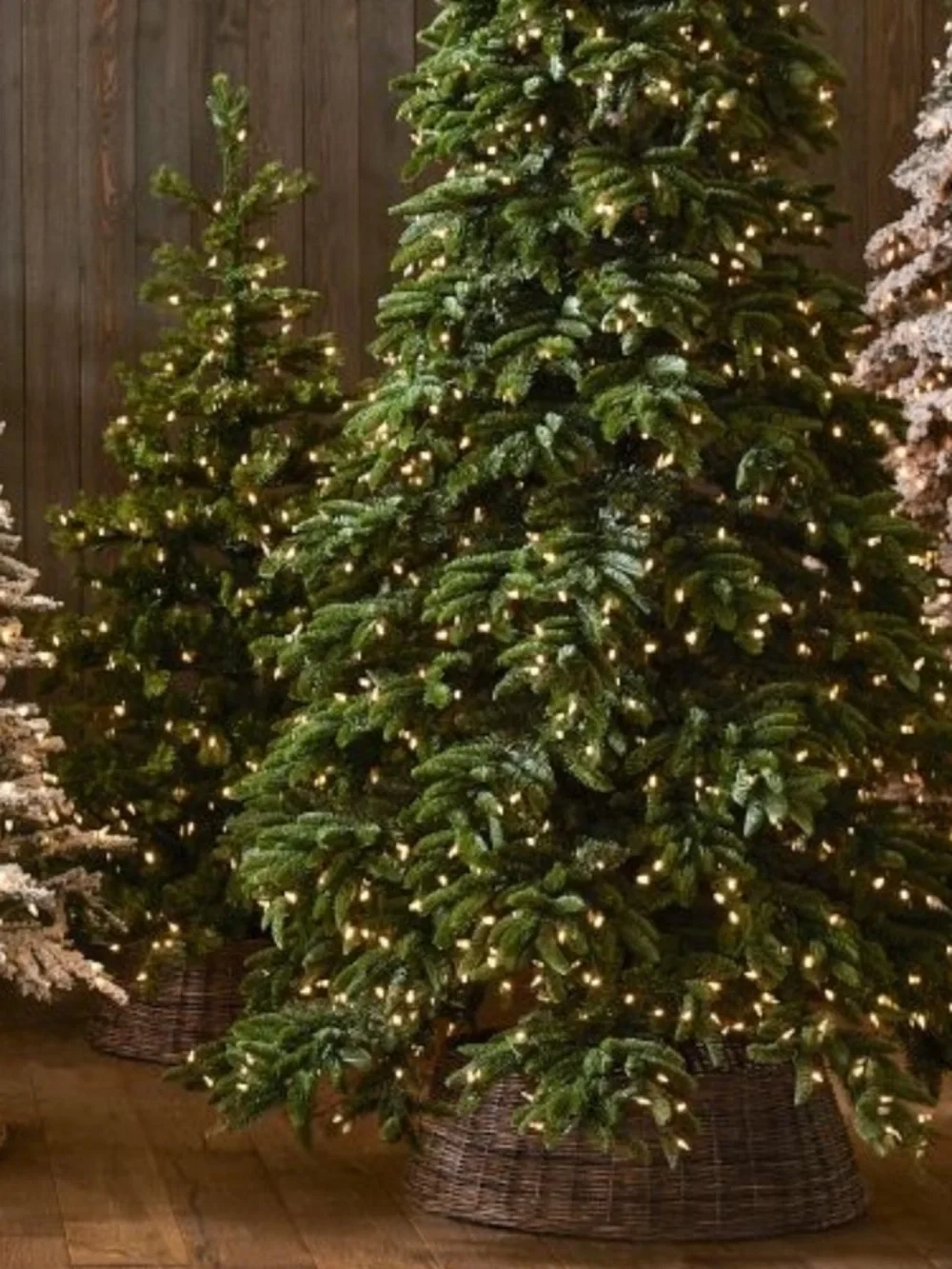 Pottery Barn Classic Vintage Inspired Woven Tree Collar New 🌲
